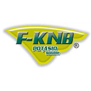 Logo F-KNB 512px